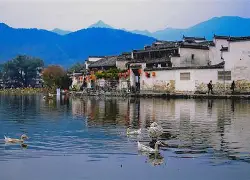  中场绞杀是什么意思 