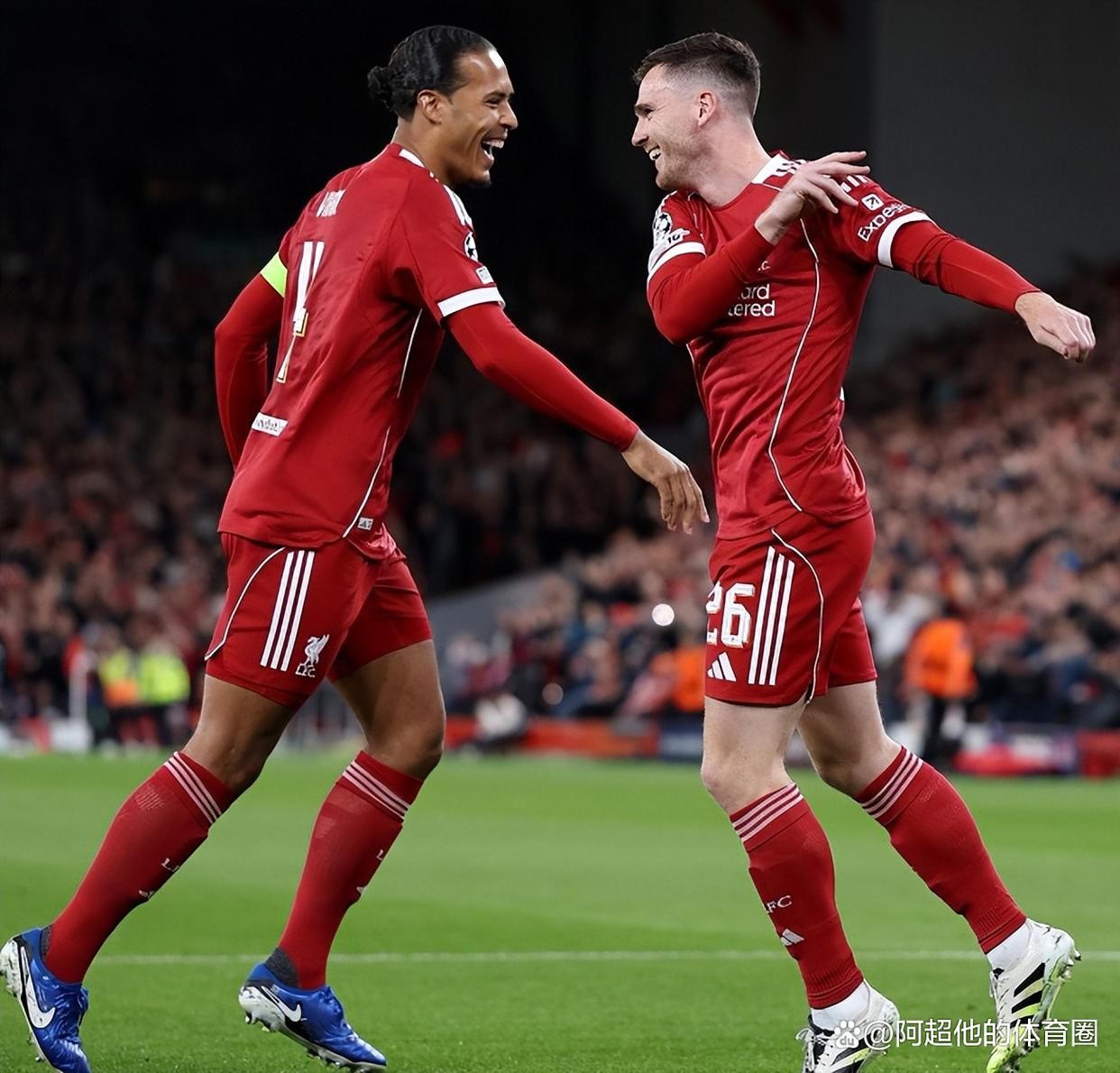 美强惨自救计划穿书